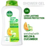 Dettol Lasting Fresh Body Wash 250ml